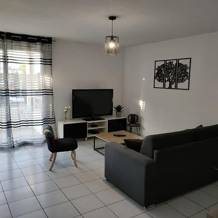 Spacieux Et Joli Appartement De 2 A 4 Personnes • Parking • Wifi Fenouillet  Экстерьер фото