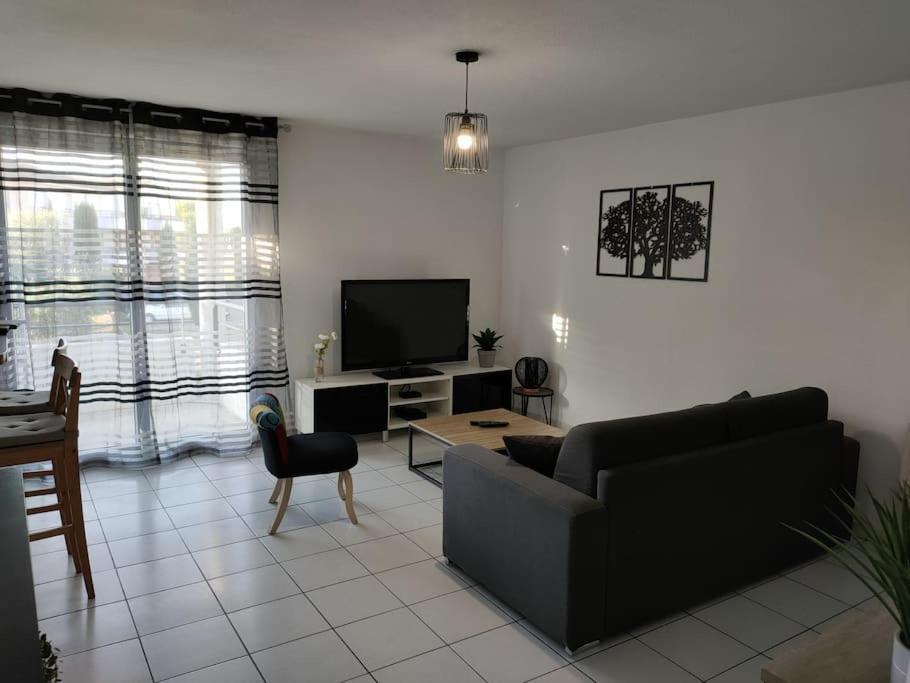 Spacieux Et Joli Appartement De 2 A 4 Personnes • Parking • Wifi Fenouillet  Экстерьер фото