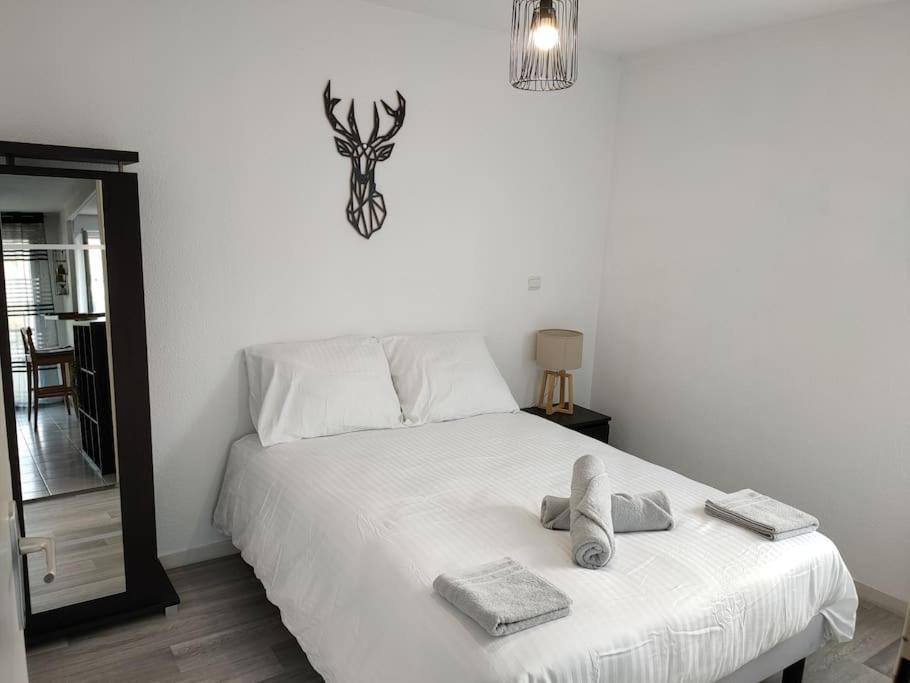 Spacieux Et Joli Appartement De 2 A 4 Personnes • Parking • Wifi Fenouillet  Экстерьер фото